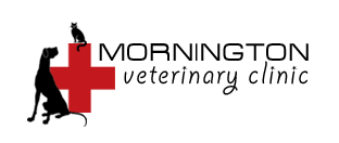 Mornington Veterinary Clinic logo